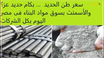 تطورات جديدة.. سعر طن الحديد اليوم الأحد إليك الأسعار في جميع المصانع والشركات 1